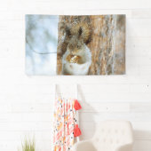 Niedliches Eichhörnchen in der Winterlandschaft Banner (Insitu)