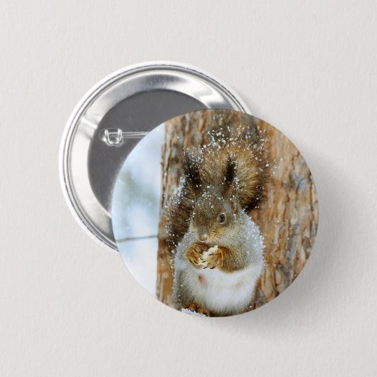 Niedliches Eichhörnchen in der Winterlandschaft Button (Vorne & Hinten)