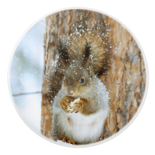 Niedliches Eichhörnchen in der Winterlandschaft Keramikknauf