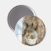Niedliches Eichhörnchen in der Winterlandschaft Magnet (Vorderseite/Rückseite)