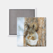 Niedliches Eichhörnchen in der Winterlandschaft Magnet (Vorderseite/Rückseite)