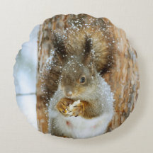 Niedliches Eichhörnchen in der Winterlandschaft