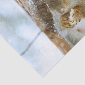 Niedliches Eichhörnchen in der Winterlandschaft Seidenpapier (Ausschnitt)