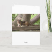 Niedliches Eichhörnchen, in Touch Behalten, Karte (Rückseite)