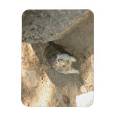 Niedliches Eichhörnchen in Yosemite, CA Magnet (Vertikal)