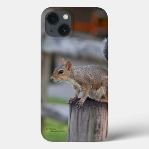 Niedliches Eichhörnchen iPhone 6 Fall 13 Hülle