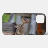 Niedliches Eichhörnchen iPhone 6 Fall Case-Mate iPhone Hülle (Rückseite (Horizontal))