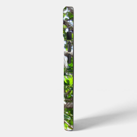 Niedliches Eichhörnchen - iPhone/iPad-Gehäuse Case-Mate iPhone Hülle (Rückseite / Links)