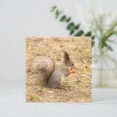 Niedliches Eichhörnchen isst ein Nussbaum-Foto (Stehend Vorderseite)