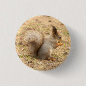 Niedliches Eichhörnchen isst ein Nussbaum-Foto Button (Vorderseite)