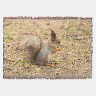 Niedliches Eichhörnchen isst ein Nussbaum-Foto Decke