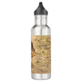 Niedliches Eichhörnchen isst ein Nussbaum-Foto Edelstahlflasche (Rechts)