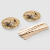 Niedliches Eichhörnchen isst ein Nussbaum-Foto Fächer (Non-assembled)