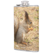 Niedliches Eichhörnchen isst ein Nussbaum-Foto Flachmann (Links)