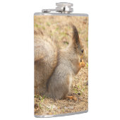 Niedliches Eichhörnchen isst ein Nussbaum-Foto Flachmann (Rechts)