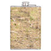 Niedliches Eichhörnchen isst ein Nussbaum-Foto Flachmann (Rückseite)