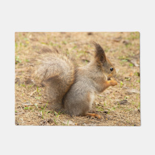 Niedliches Eichhörnchen isst ein Nussbaum-Foto Fußmatte