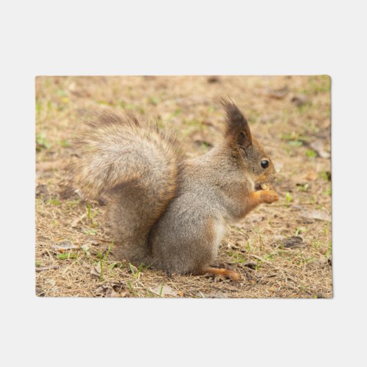 Niedliches Eichhörnchen isst ein Nussbaum-Foto Fußmatte (Vorderseite)