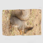 Niedliches Eichhörnchen isst ein Nussbaum-Foto Golfhandtuch (Horizontal)