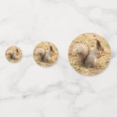 Niedliches Eichhörnchen isst ein Nussbaum-Foto Konfetti (Rückseiten)