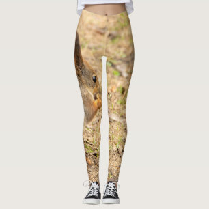 Niedliches Eichhörnchen isst ein Nussbaum-Foto Leggings