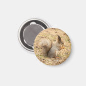 Niedliches Eichhörnchen isst ein Nussbaum-Foto Magnet (Vorderseite/Rückseite)