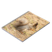 Niedliches Eichhörnchen isst ein Nussbaum-Foto Notizblock (Linke Seite)