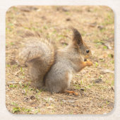 Niedliches Eichhörnchen isst ein Nussbaum-Foto Rechteckiger Pappuntersetzer (Vorderseite)