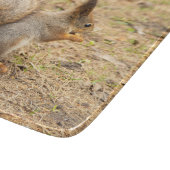 Niedliches Eichhörnchen isst ein Nussbaum-Foto Schneidebrett (Ecke)