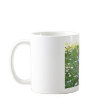 Niedliches Eichhörnchen