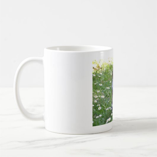 Niedliches Eichhörnchen Kaffeetasse (Links)