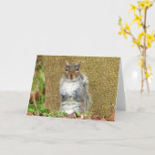 Niedliches Eichhörnchen Karte (Gelbe Blume)