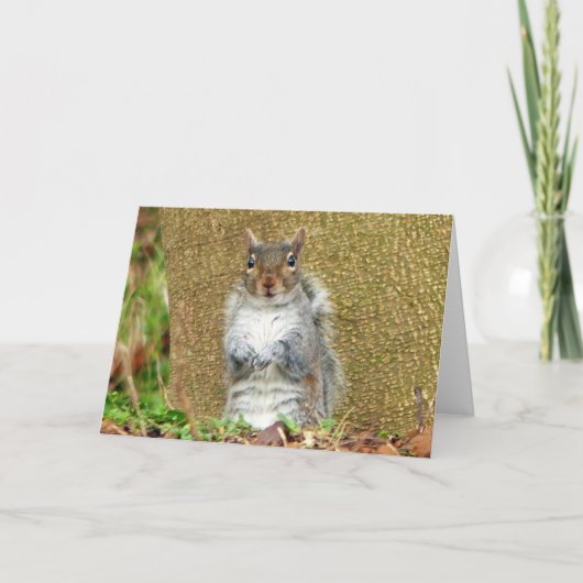 Niedliches Eichhörnchen Karte (Vorderseite)