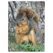 Niedliches Eichhörnchen-Klemmbrett Klemmbrett (Rückseite)