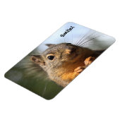 Niedliches Eichhörnchen Lächeln Foto schließen Magnet (Linke Seite)