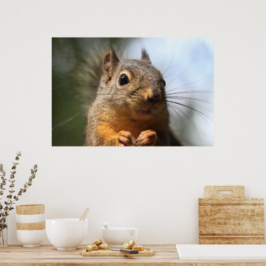 Niedliches Eichhörnchen Lächeln Foto schließen Poster (Küche)
