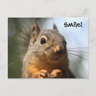 Niedliches Eichhörnchen Lächeln Foto schließen Postkarte