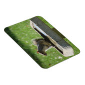 Niedliches Eichhörnchen Magnet (Rechte Seite)
