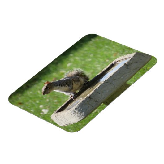 Niedliches Eichhörnchen Magnet (Linke Seite)