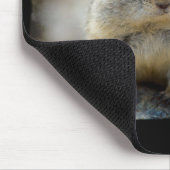 Niedliches Eichhörnchen-Maus Pad Black Border Mousepad (Ecke)
