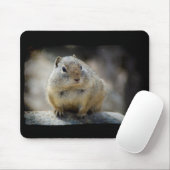 Niedliches Eichhörnchen-Maus Pad Black Border Mousepad (Mit Mouse)