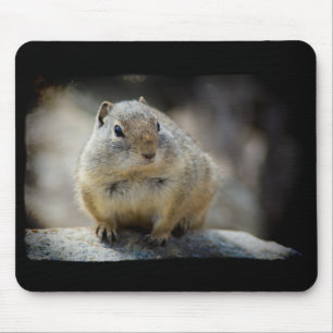 Niedliches Eichhörnchen-Maus Pad Black Border Mousepad