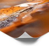 Niedliches Eichhörnchen mit Leaf-Regenschirm - Her Poster (Ecke)