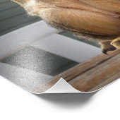 Niedliches Eichhörnchen mit Nut 3 Fotodruck (Ecke)