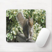 Niedliches Eichhörnchen Mousepad (Mit Mouse)