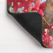 Niedliches Eichhörnchen Mousepad (Ecke)