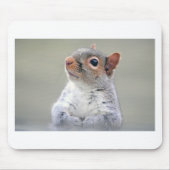 Niedliches Eichhörnchen Mousepad (Vorne)