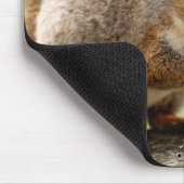 Niedliches Eichhörnchen Mousepad (Ecke)