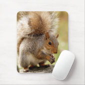 Niedliches Eichhörnchen Mousepad (Mit Mouse)