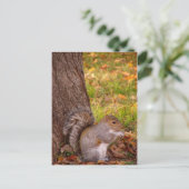 Niedliches Eichhörnchen Nah Postkarte (Stehend Vorderseite)